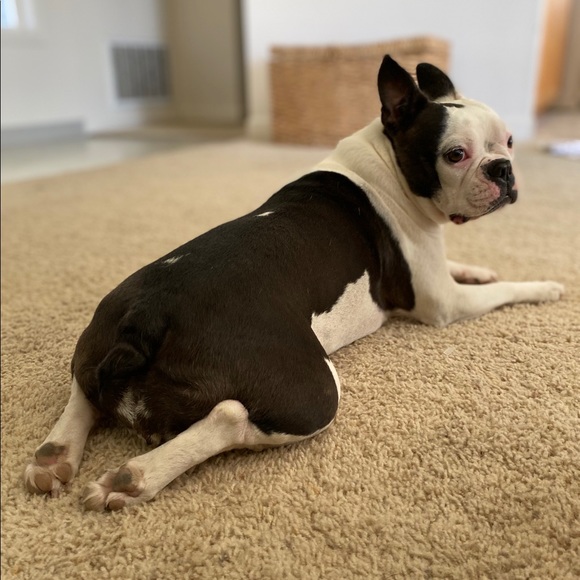 Lisa & Katy, Poshers! Yay!! - Picture 6 of 6